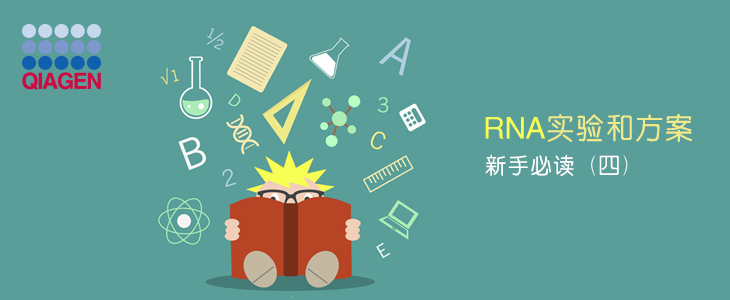 RNA实验和方案新手必读（四）