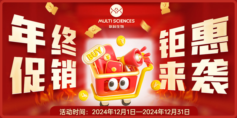 2024-end-promotion-banner