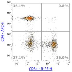 Anti-Human CD8α, PE (Clone:OKT8)流式抗体 - 结果示例图片