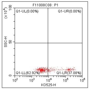 Anti-Human CD8, mFluor 540 (Clone:OKT8) 流式抗体 检测试剂 - 结果示例图片