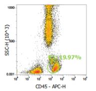 Anti-Human CD45, APC (Clone: 2D1) 流式抗体 - 结果示例图片