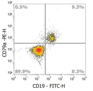 Anti-Human CD79a, PE (Clone: HM47) - 结果示例图片