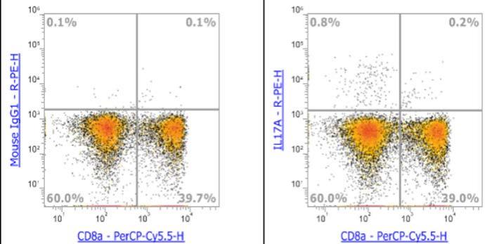 Anti-Human IL-17A, PE (Clone:64DEC17) 流式抗体 - 结果示例图片