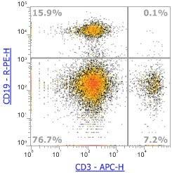 Anti-Mouse CD3ε, APC (Clone:145-2C11)流式抗体 - 结果示例图片