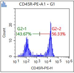 Anti-Human/Mouse CD45R, PE (Clone: RA3-6B2) 流式抗体 检测试剂 - 结果示例图片