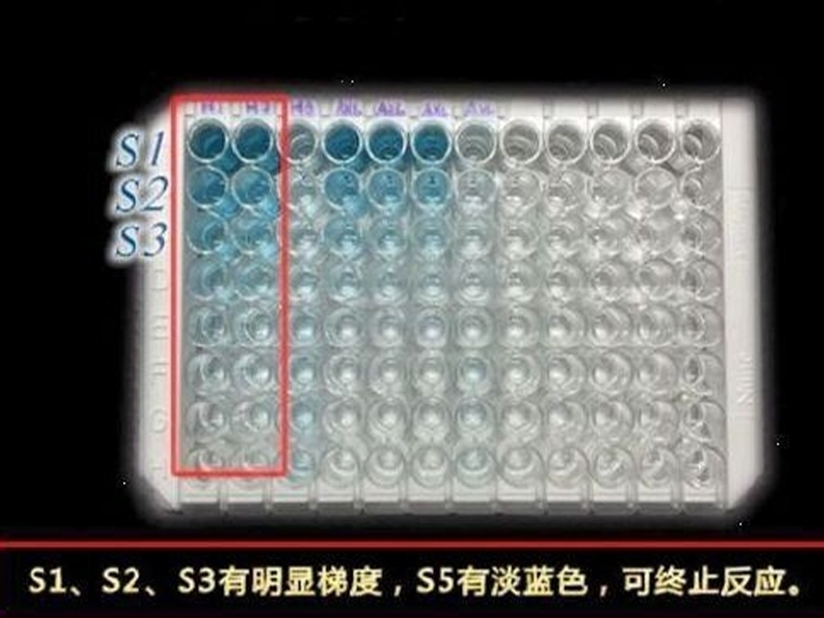 一文掌握ELISA实验显色判断、数据分析及标曲拟合