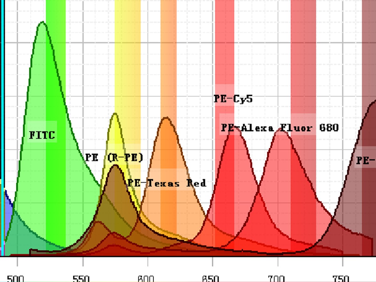 流式荧光多种多样，你都清楚吗？